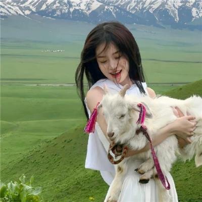 中国惊奇先生电影版 封面